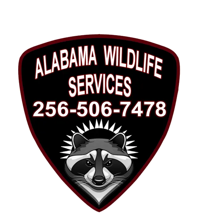 Wildlife Removal